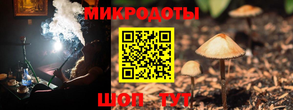 купить   Вход с VPN  Тимашёвск  Псилоцибиновые грибы мухоморы 
